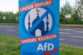 Surveillance d’un parti politique « extrémiste » par l’État : le dilemme de la démocratie constitutionnelle allemande