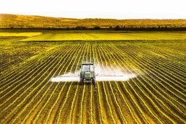 Pesticides : les chartes d’engagements sont contraires à la Charte de l’environnement