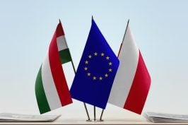 Nouveau rebondissement (attendu) dans la saga du respect de l’État de droit par la Hongrie et la Pologne