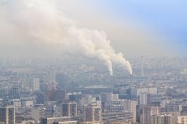 « Affaire du siècle » : le juge administratif condamne l’État pour son manquement en matière de lutte contre le réchauffement climatique