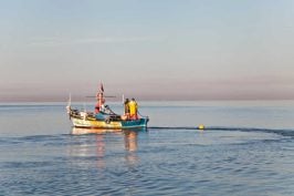 Les quotas de pêche au cœur des négociations pour le Brexit